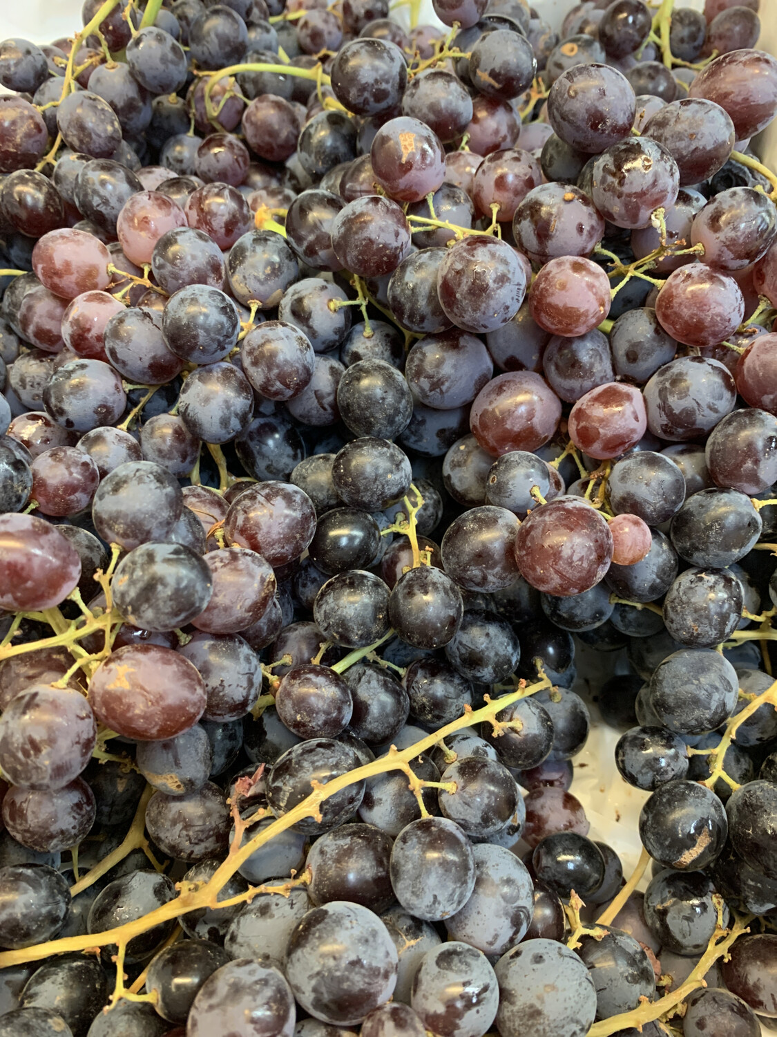 Grapes, Black Muscat 1KG