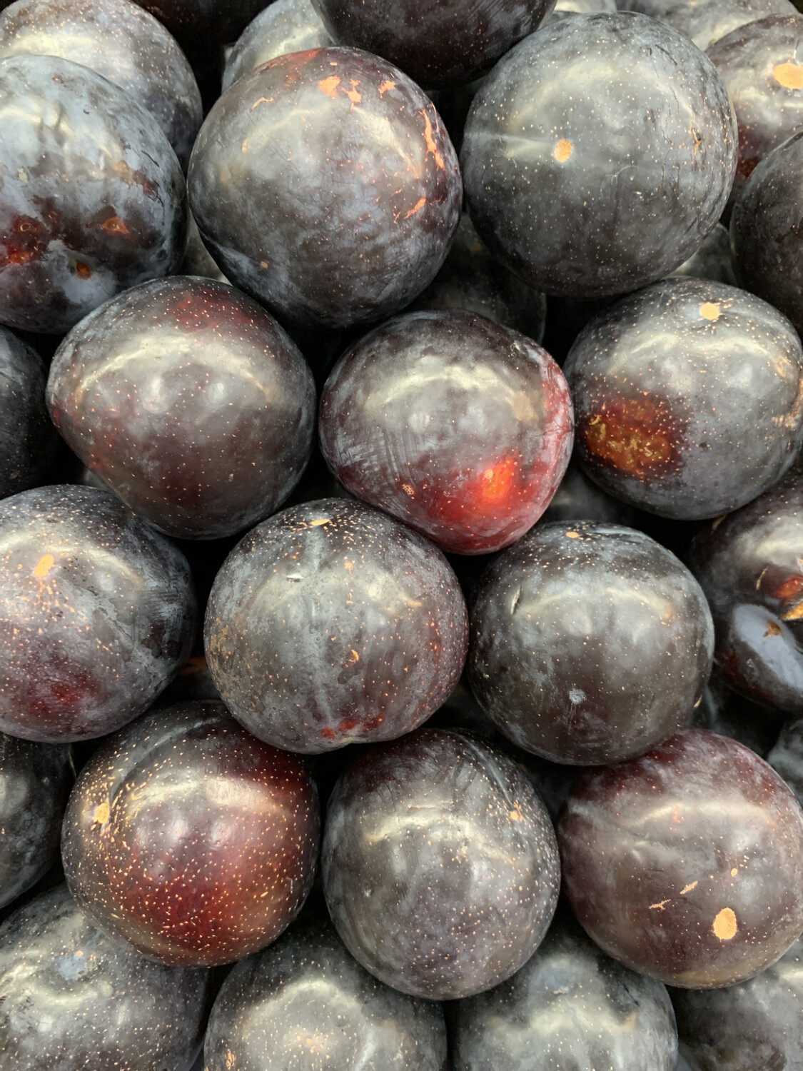 Plums, Small 500G Pack