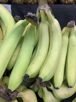 Cavendish Bananas