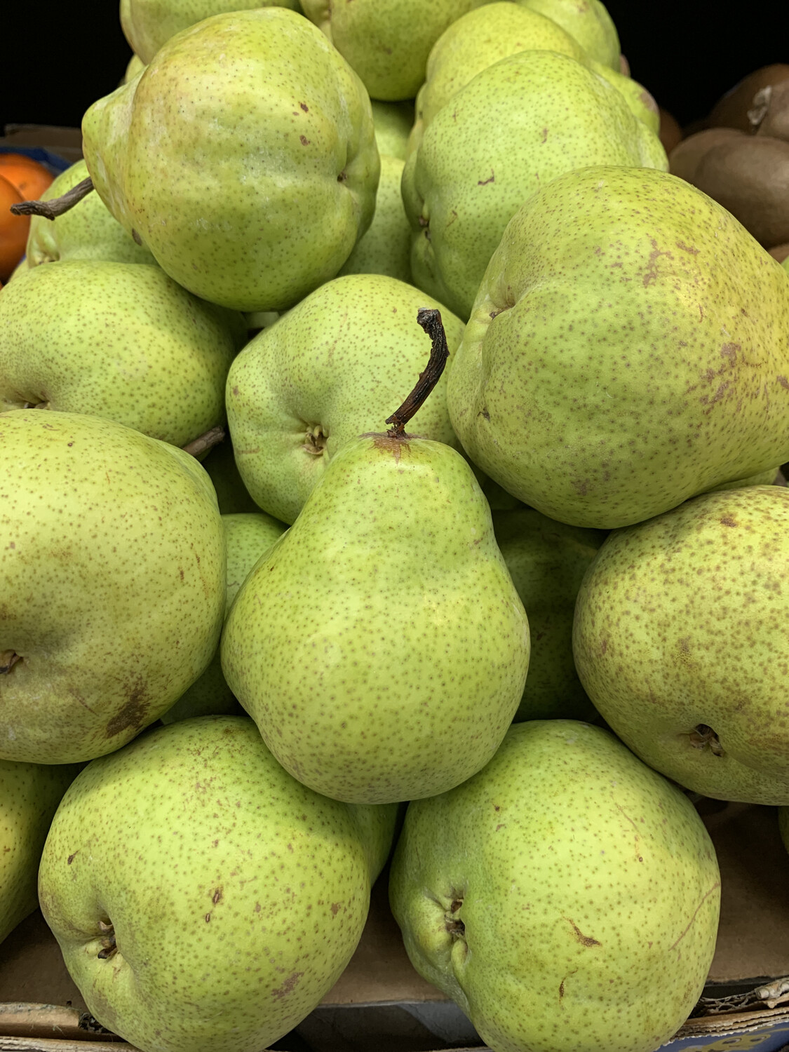 Packham Pears, Large Each or 1KG BAG