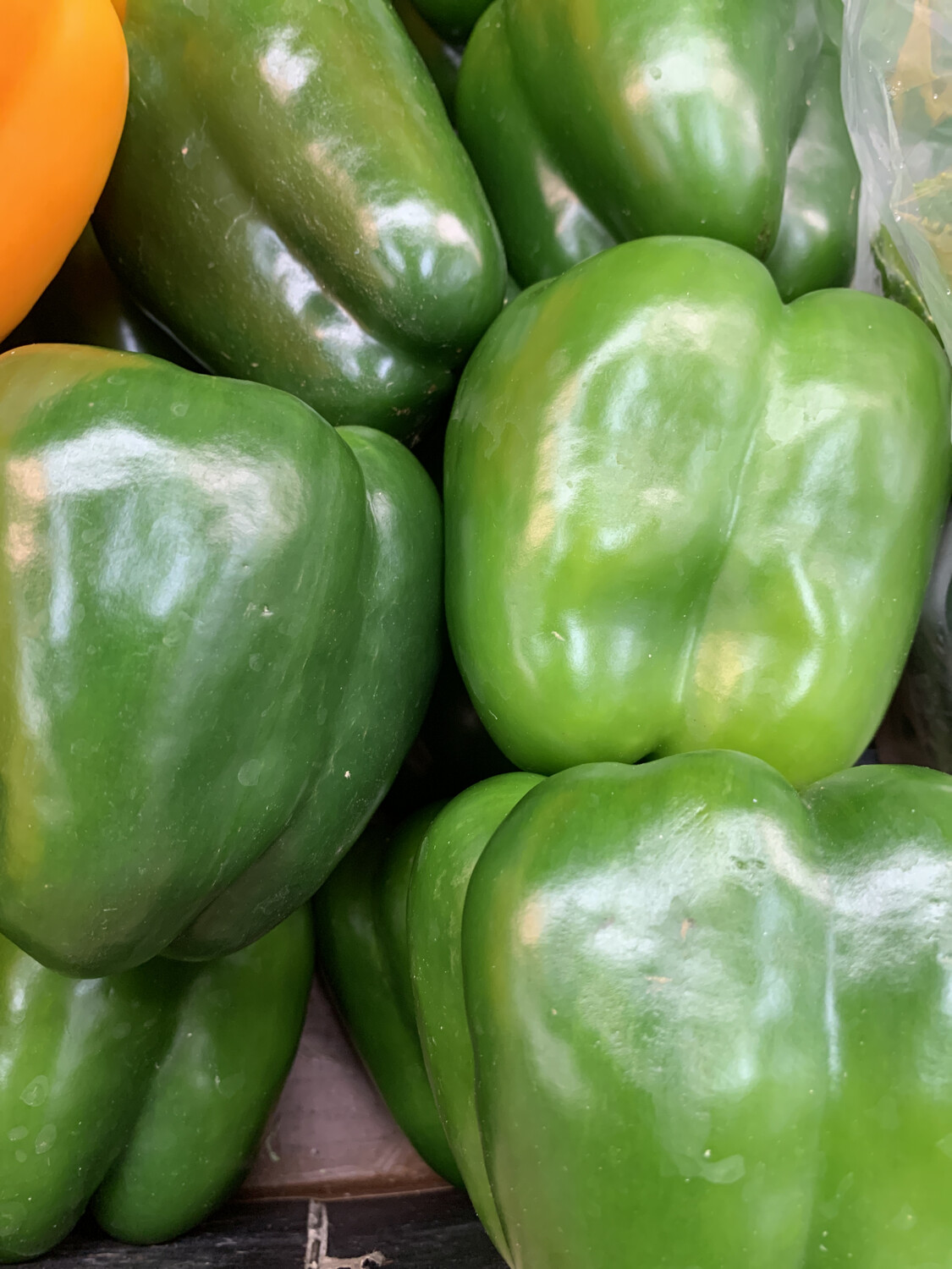 Capsicum, Green Each Large