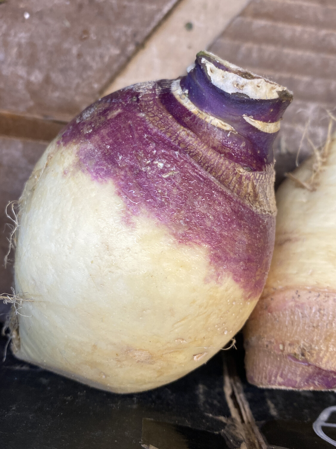 Turnip, Each