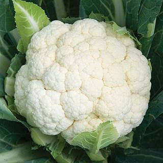 Cauliflower Whole , Each