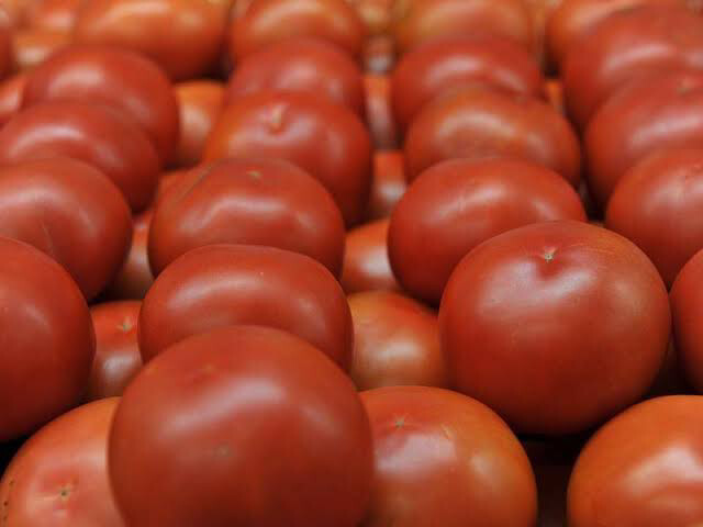 Gourmet Field Tomatoes, Medium