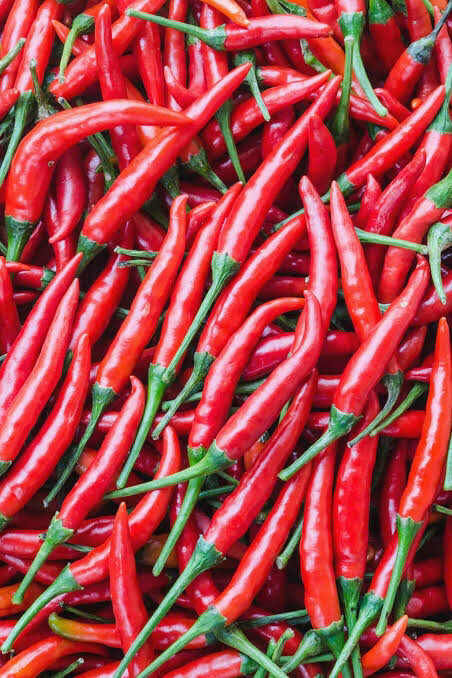 Chilli, Tray (100g)