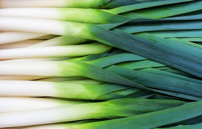 Leeks, Large Each (Approx 300gm)