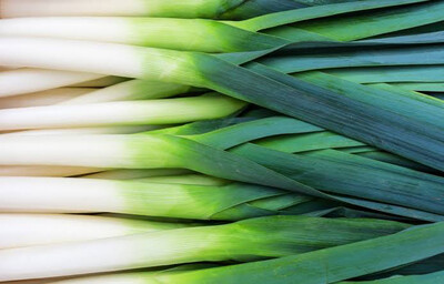 Leeks, Large Each (Approx 300gm)
