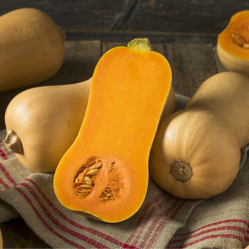 Butternut Pumpkin Whole Large