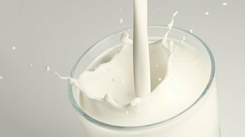 MILK