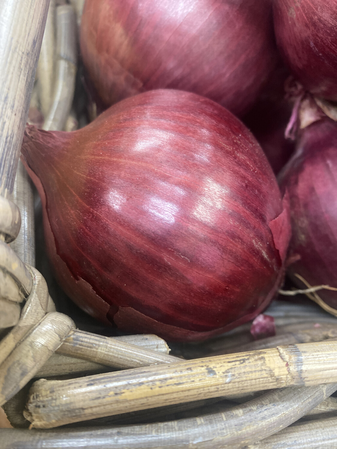 Large Red Onion, Each