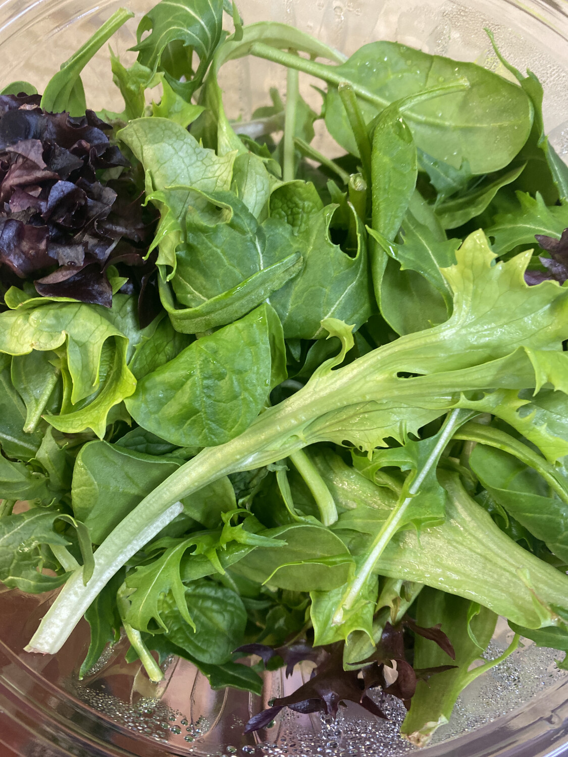 Tub Mesclun Lettuce