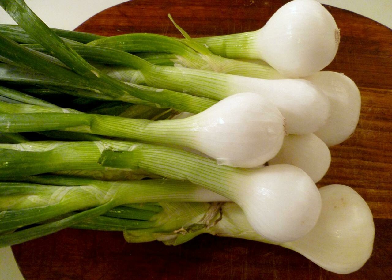 Spring Onions