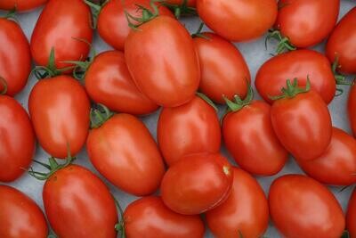 Roma Tomatoes, Medium