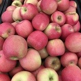 Apples, Large Pink Lady