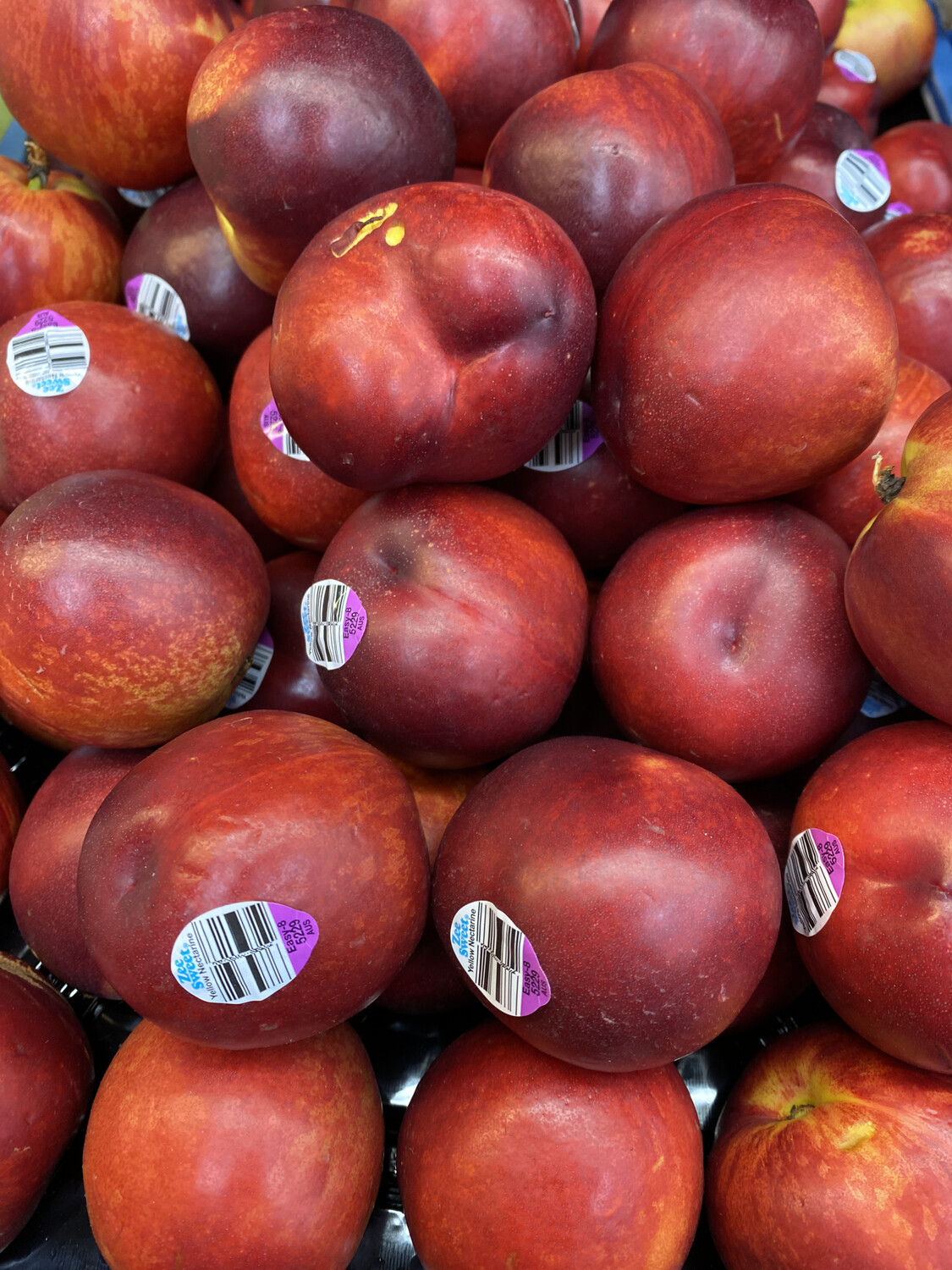 Yellow Flesh Nectarines, Small