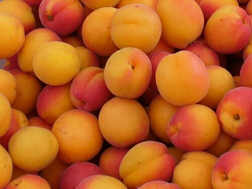 Apricots Medium, 600 Gram Pack