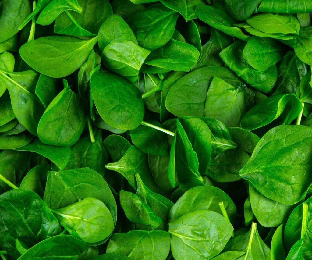 Baby Spinach, Tub