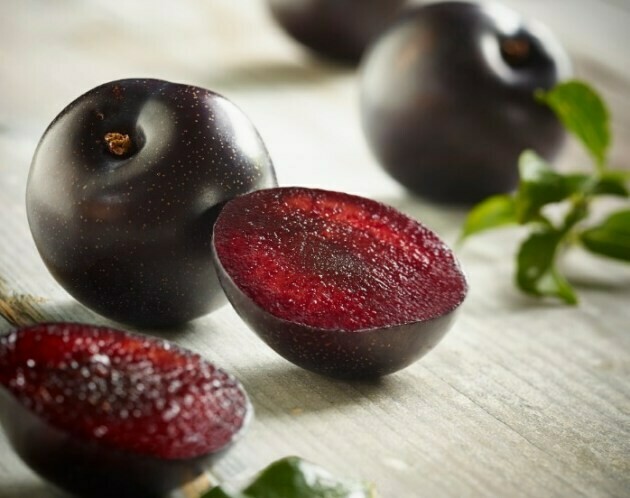 Queen Garnet Large Black Plums, Each &amp; Pack of 4