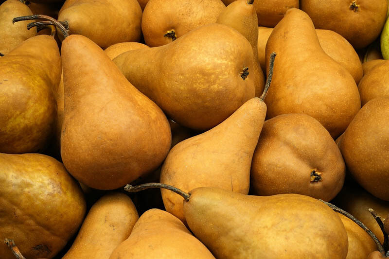 Beurre Bosc Pears, Small Each or 1KG Bag
