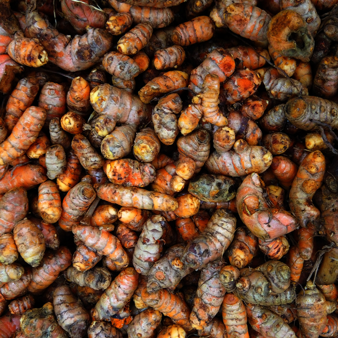 Fresh Turmeric, Tray (150g)