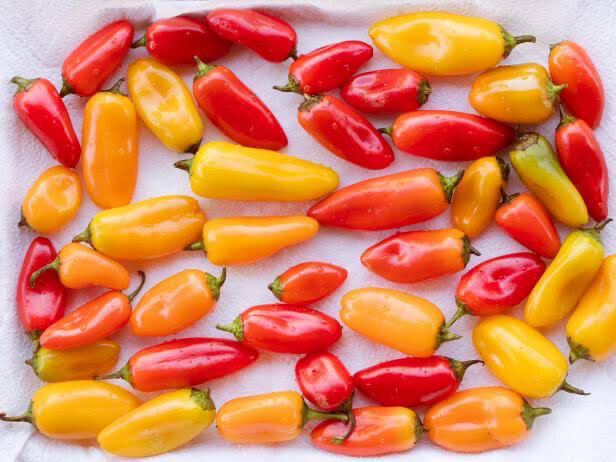Baby Capsicum, Tray