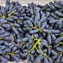 Grapes, Black Sapphire (Finger Grapes) 800G