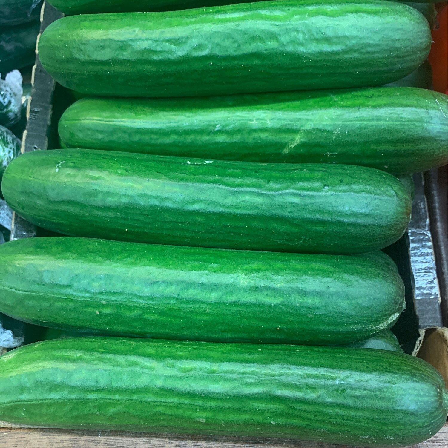 Lebanese Cucumber 600gm packs