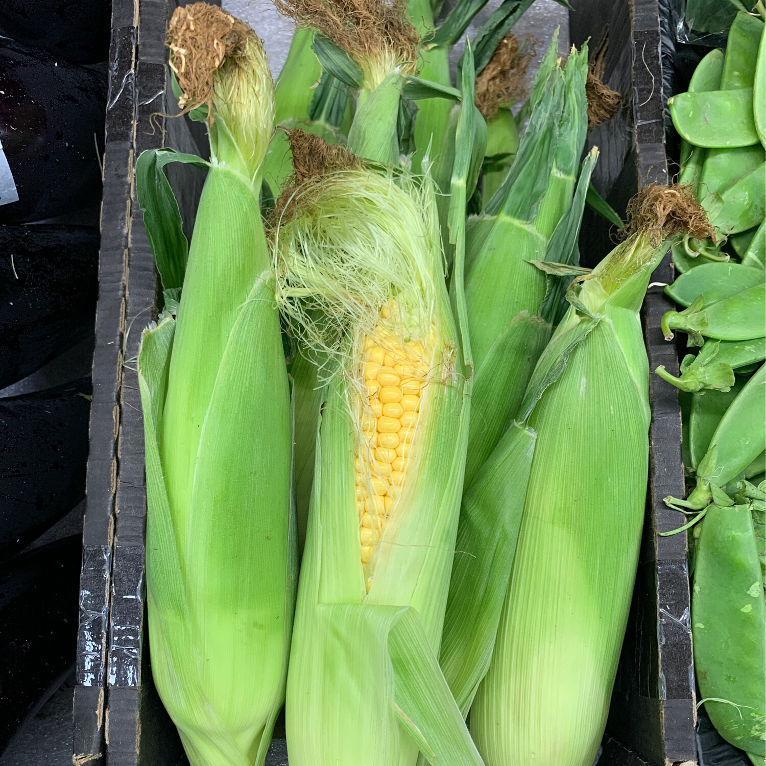 Corn Cobs Loose