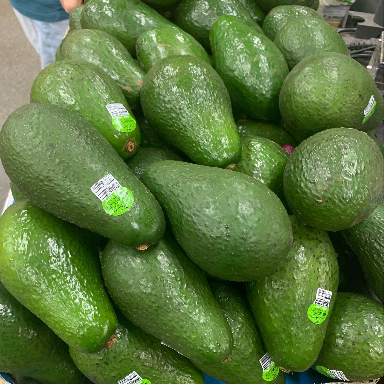 Shepard Avocados Large,  2 for $7