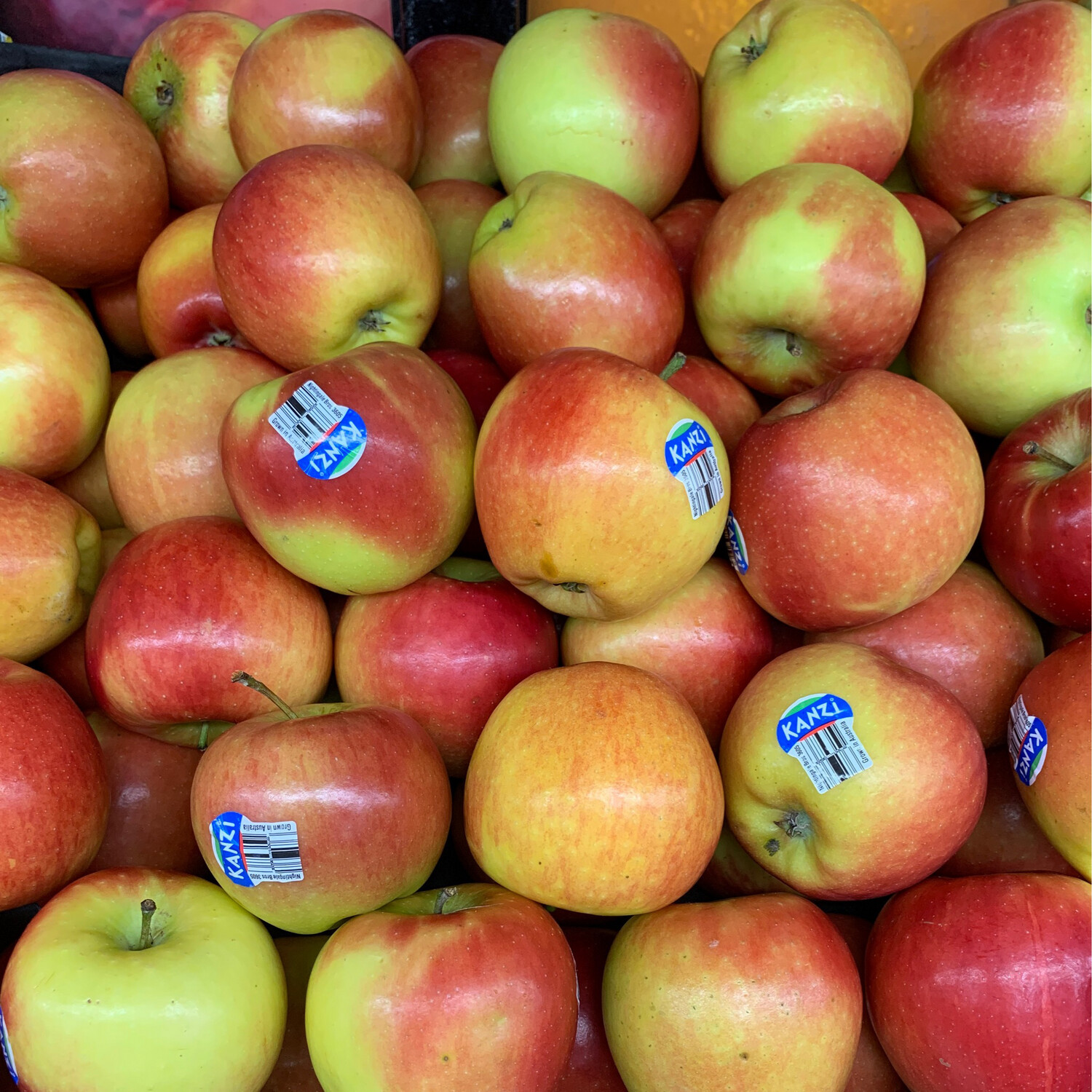 Apples, Large Kanzi