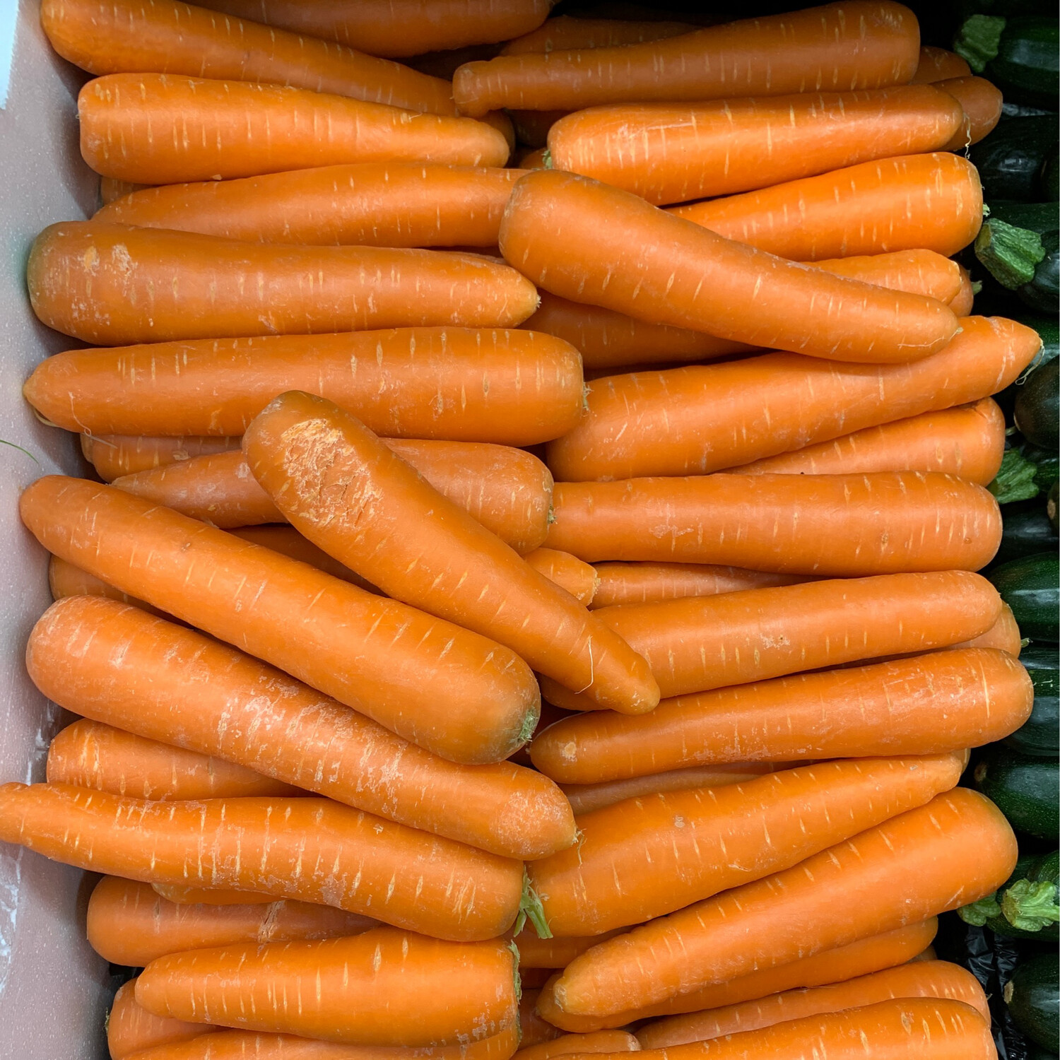 Carrots, Large Premium