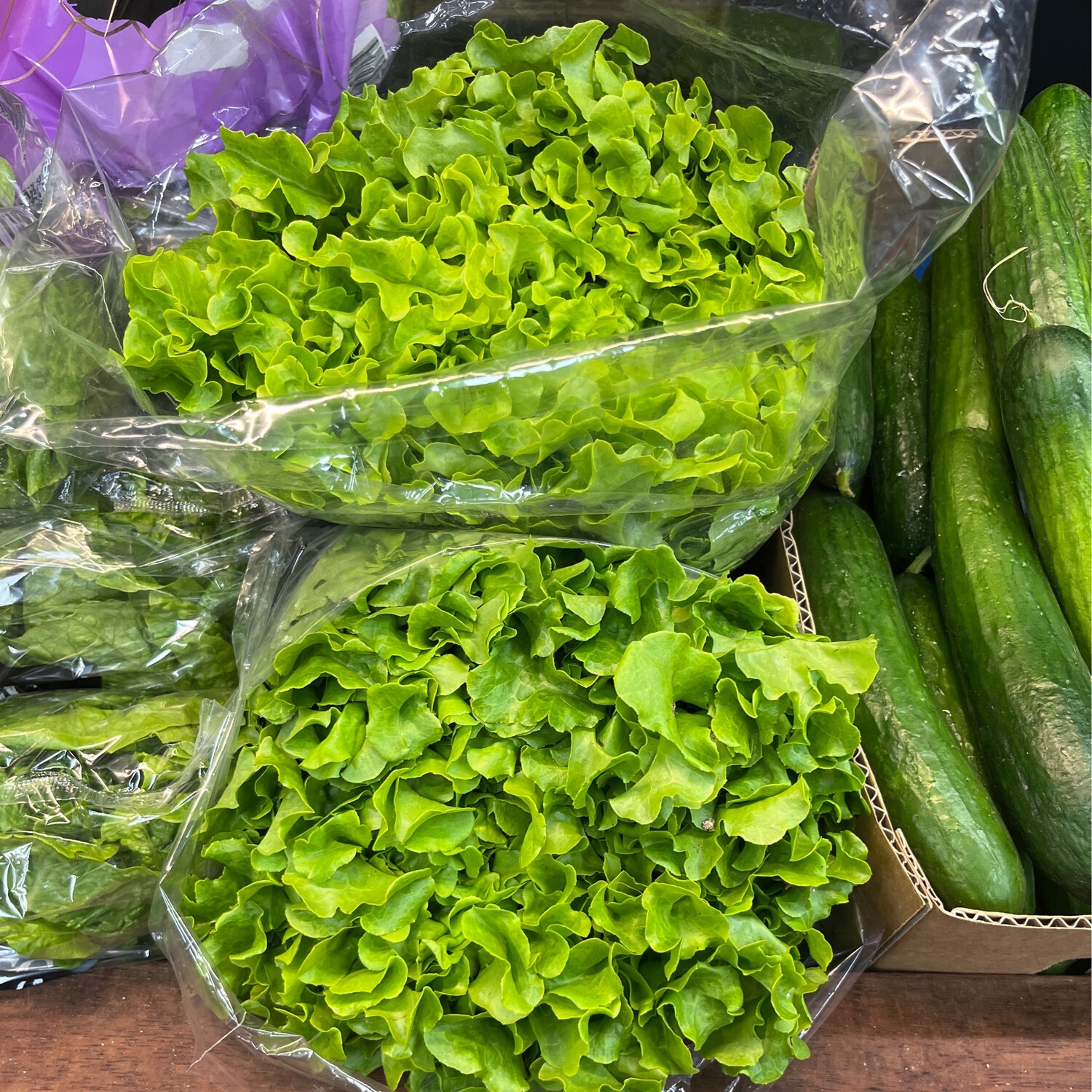 Green Oak Lettuce