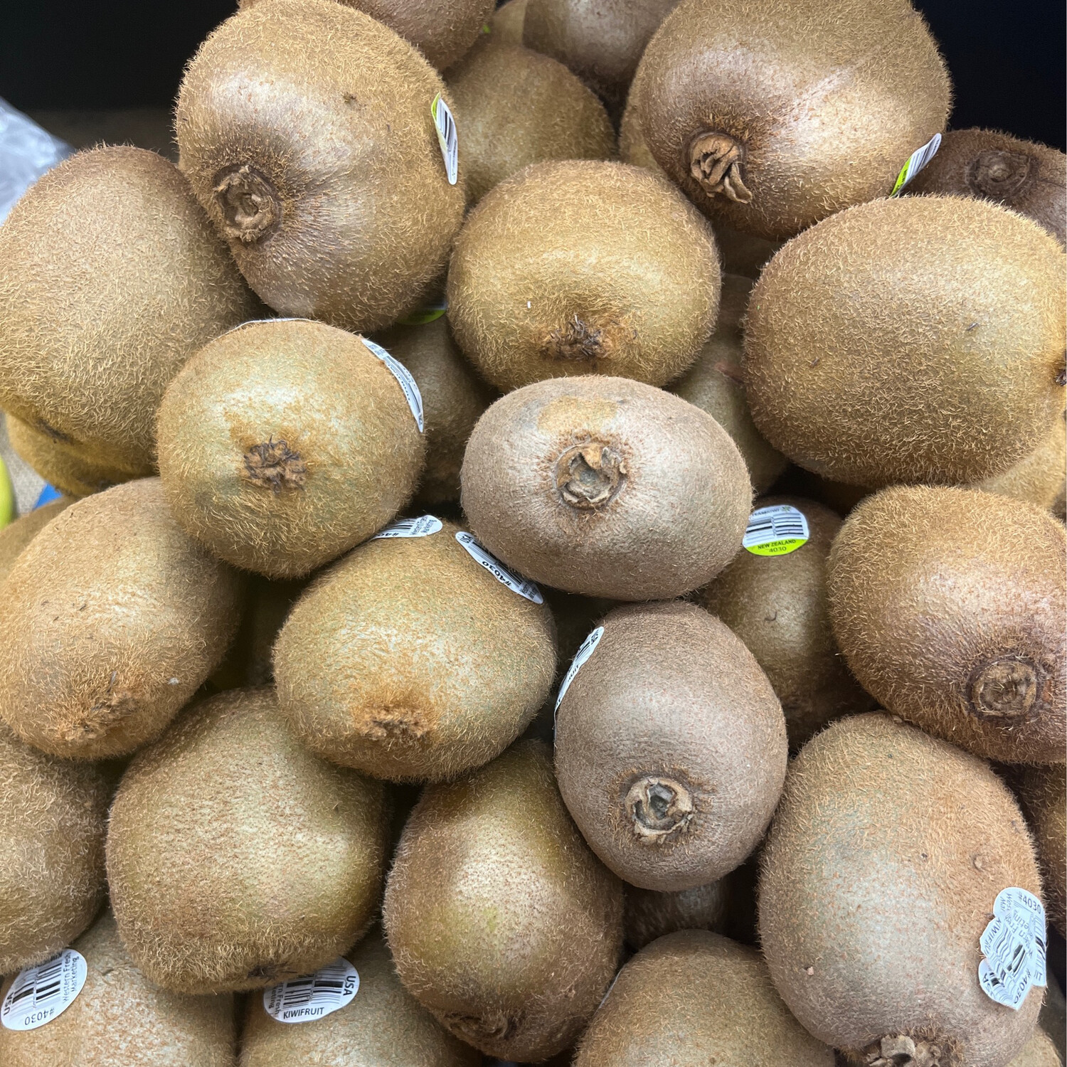 Kiwifruit Green, Tray of 6