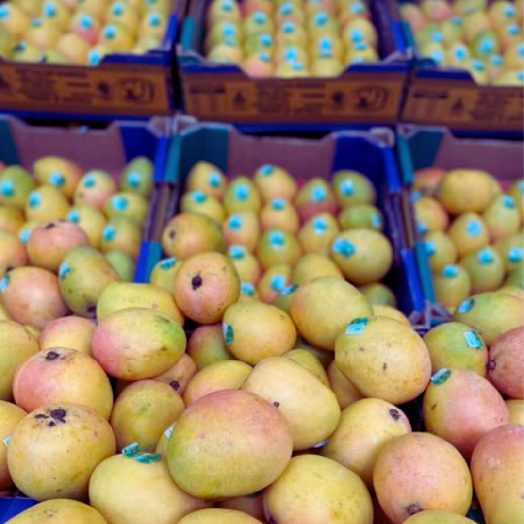 Mangoes Kensington Pride 4 for $10 Special**