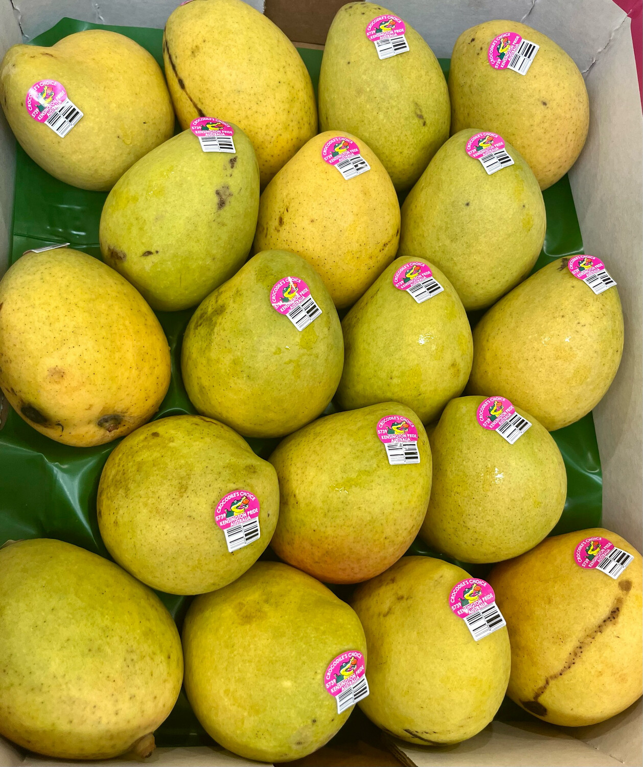 Premium KP Mango Trays (18 to a tray)