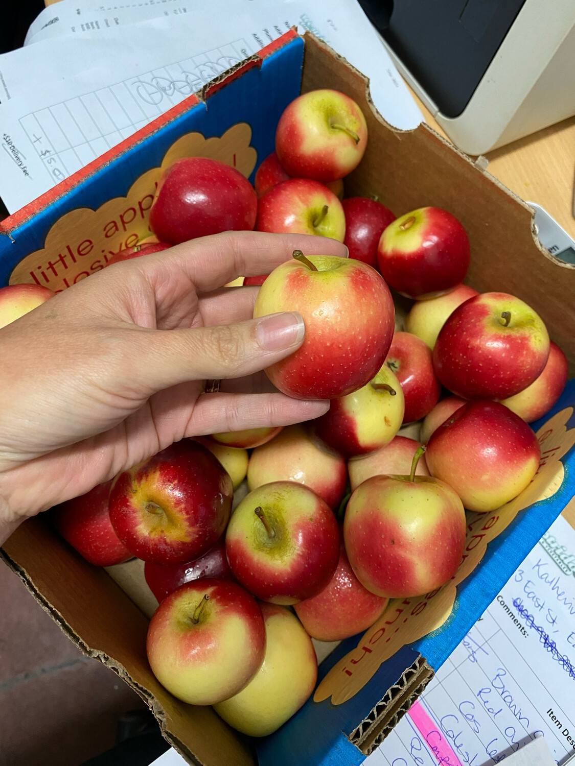 Apples, Missile
