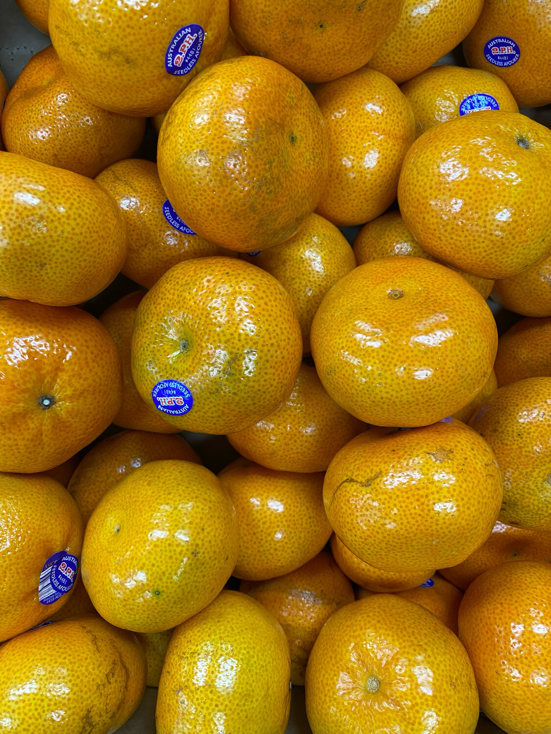 Mandarins, Seedless Afourer