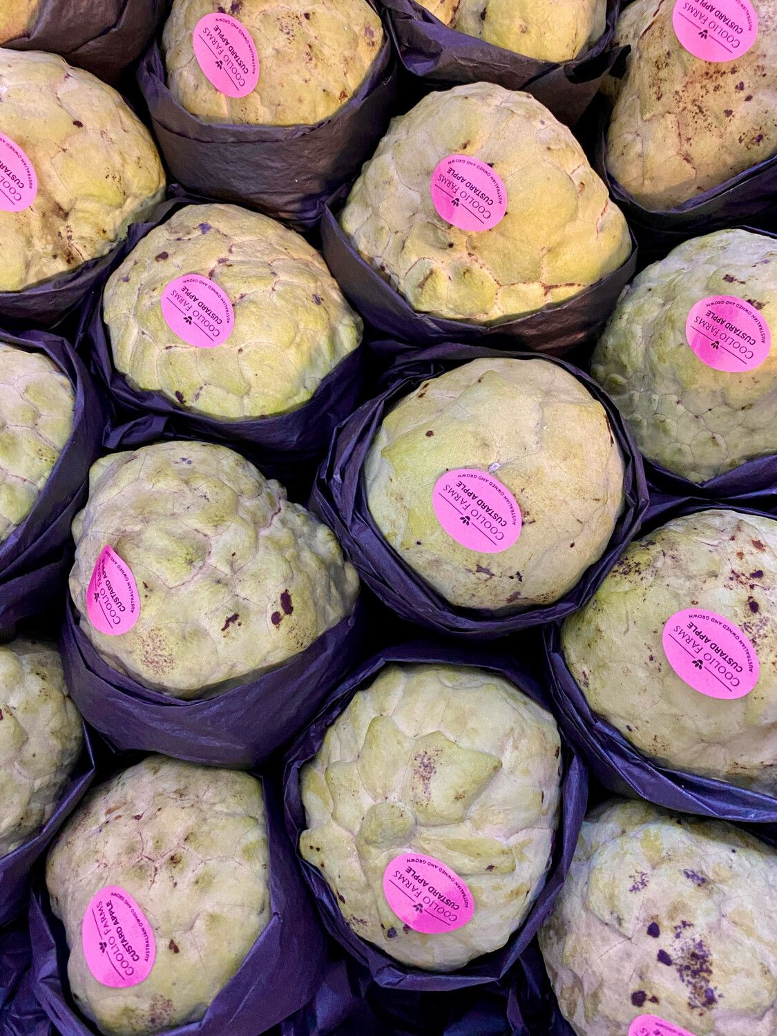Custard Apples, large $6-95 each