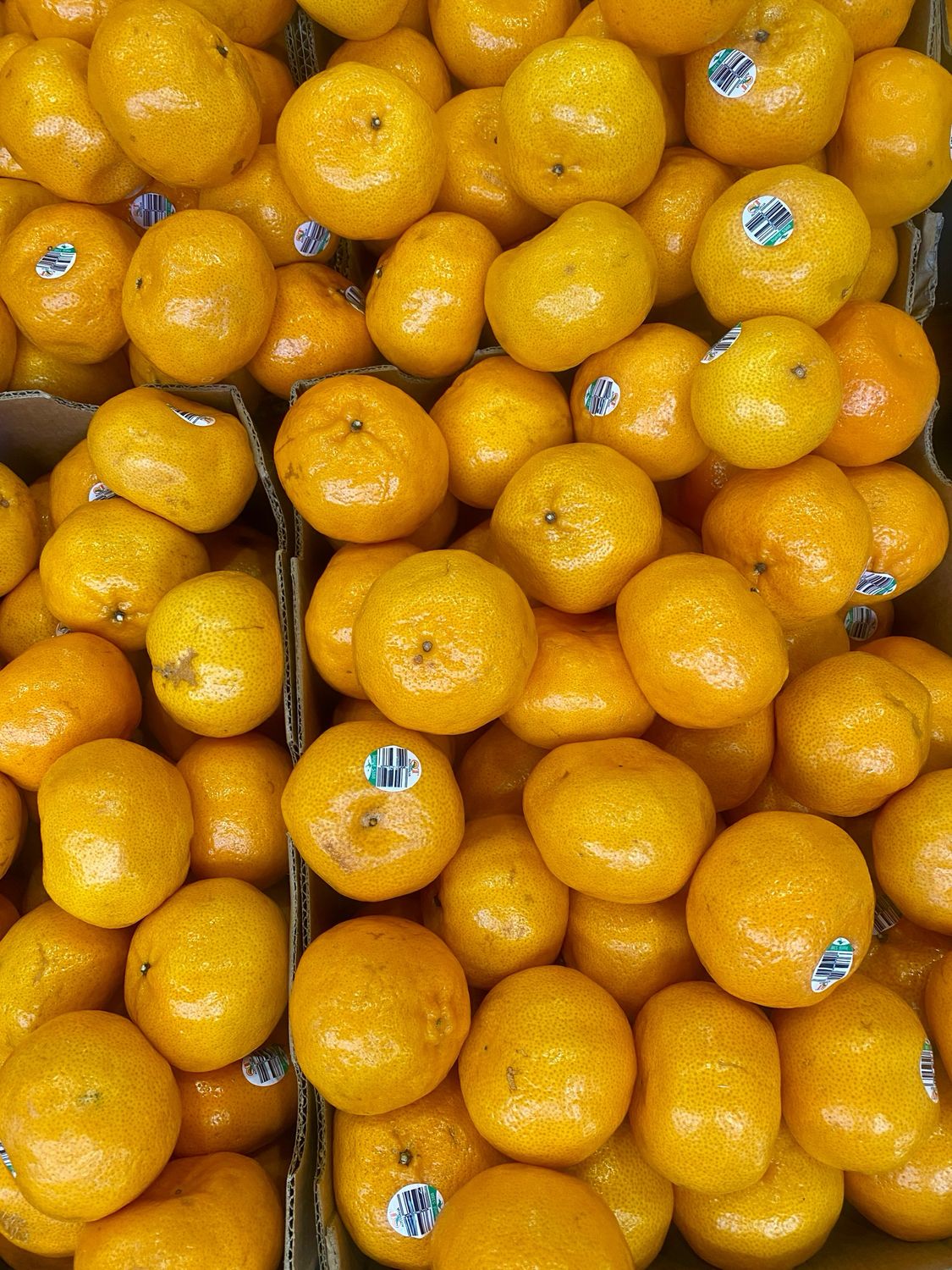 Imperial Mandarins 1kg