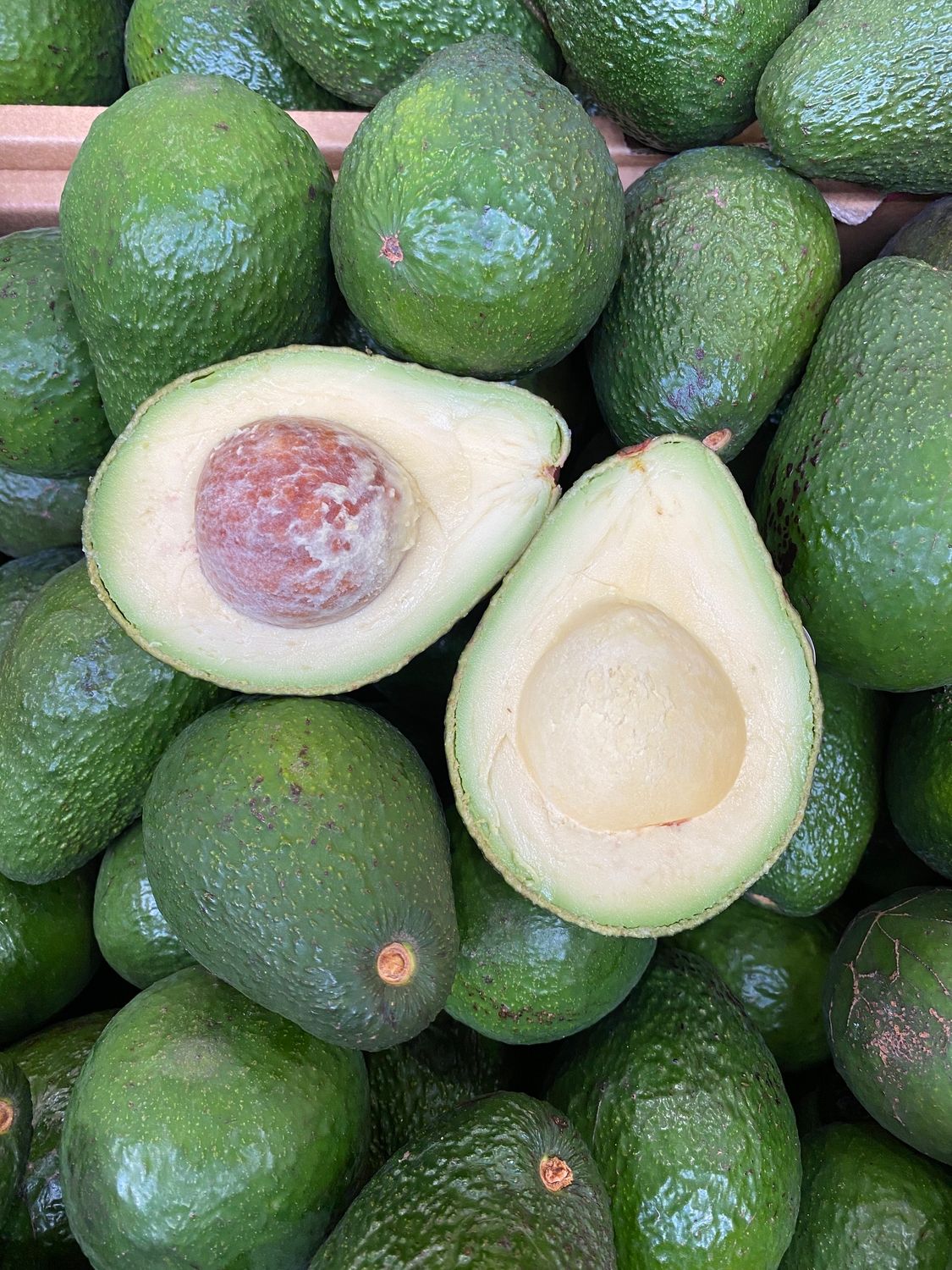 Small Avocado 3 for $6 **SPECIAL**