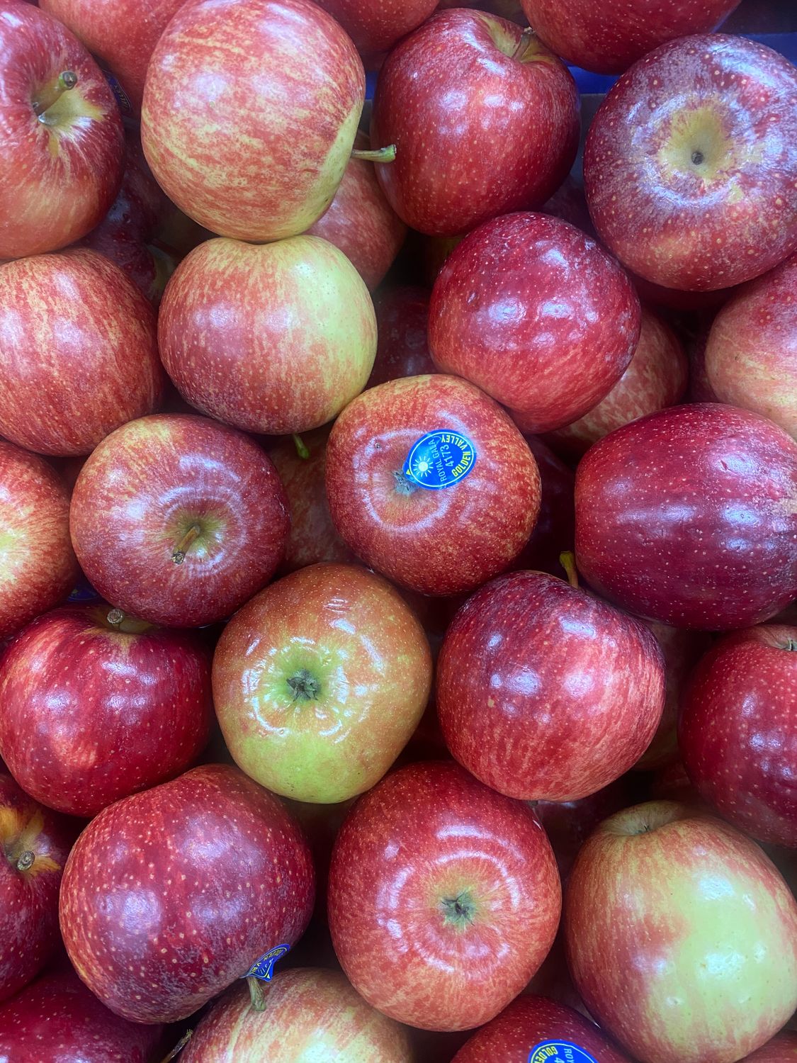 Apples, Small Gala 2kg for $5.95 **SPECIAL**