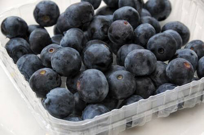 Premium Blueberries punnet