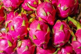 Dragon Fruit, Each