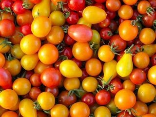 Medley Cherry Tomatoes, 200 gram punnets