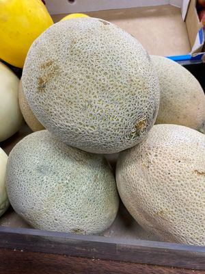 Rockmelon, large whole