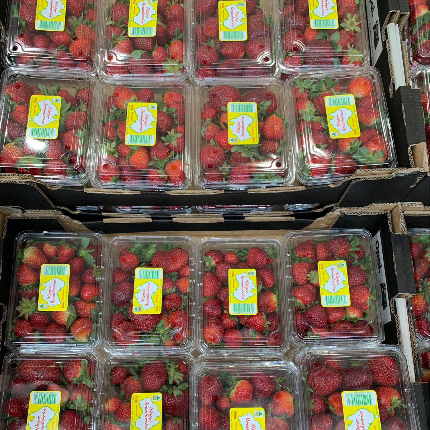Strawberries, 500 grams, 2 for $9 **Special