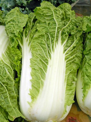 Wombok, Whole