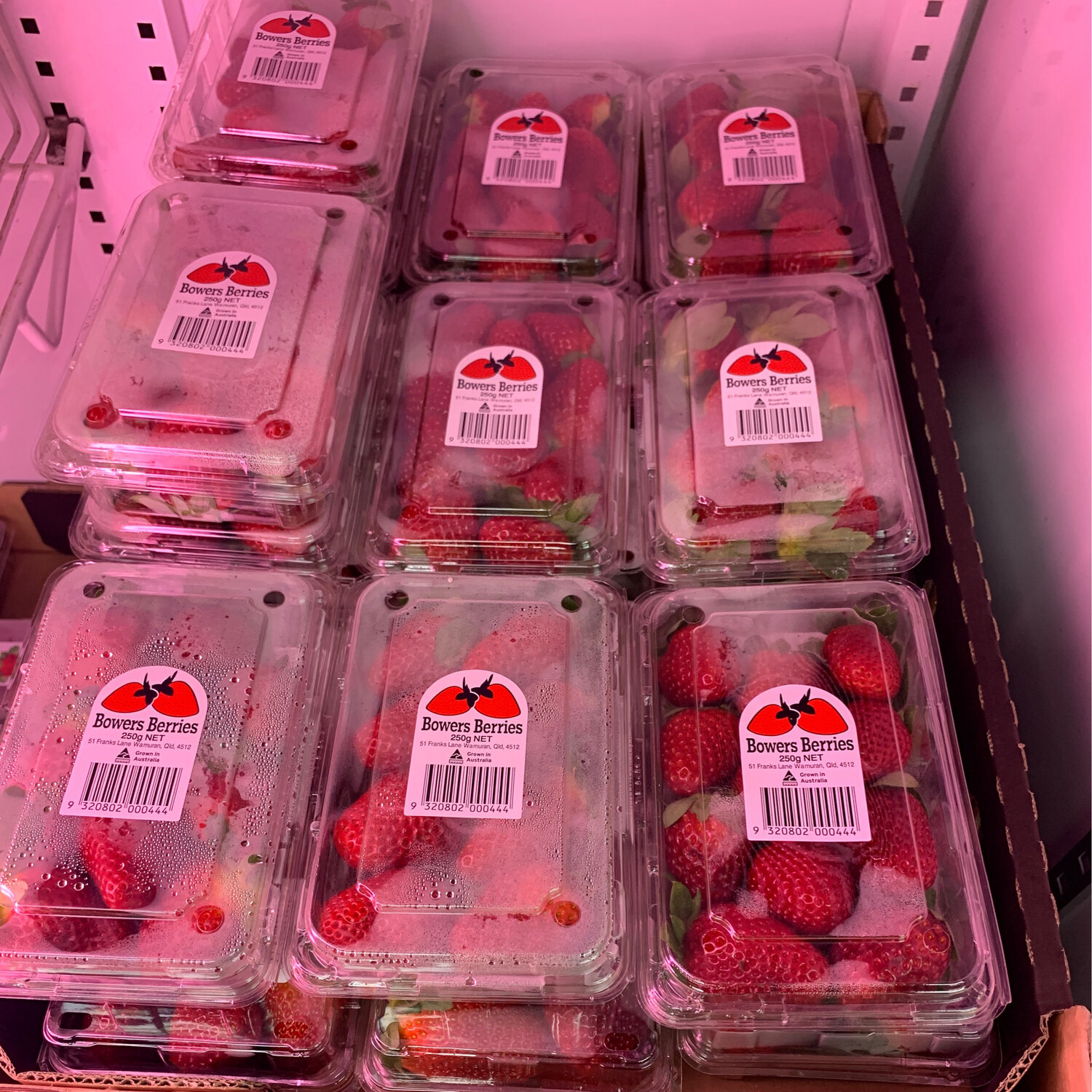 Premium Strawberries 250g, 2 for $14