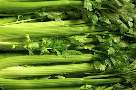Celery Bunch
