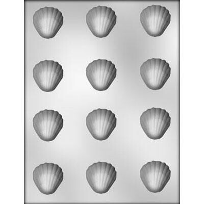 Medium Seashell